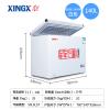 星星XINGX BD/BC-140SA/210SA  卧式-40℃超低温高档海鲜燕窝鱼翅冷冻柜 星星冷柜价格 图片